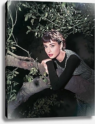 Постер Hepburn, Audrey (Sabrina) 12