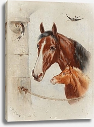 Постер Райхерт Карл Идиллическая стабильная сцена