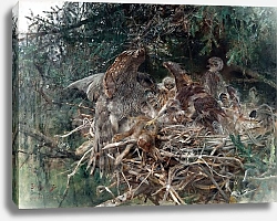 Постер Лильефорс Бруно Ястребиное гнездо