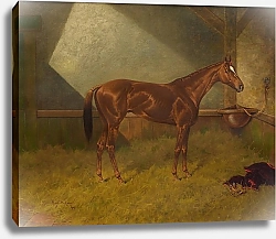 Постер Сталл Генри Честная игра, как у скаковой лошади в конюшне