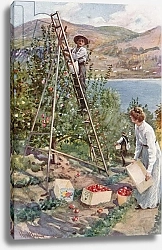Постер Коппинг Харольд A Fruit Ranch at Nelson, British Columbia