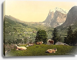 Постер Швейцария. Коммуна Гриндельвальд
