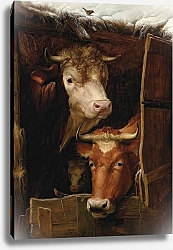 Постер Купер Томас Сидни Каким бы скромным он ни был, нет лучшего места, чем дом.