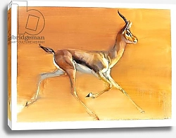 Постер Адлингтон Марк (совр) Arabian Gazelle, 2010