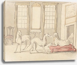 Постер Кастилс Питер Три борзые в одной комнате