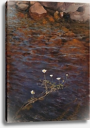 Постер Ярнефельт Ээро Воронья лапка из прудовой воды