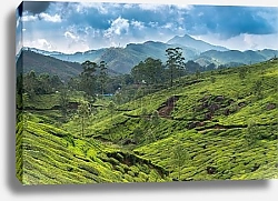 Постер Пейзаж с высоты, Лалибела, Эфиопия