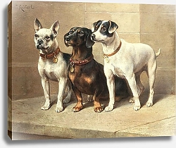 Постер Райхерт Карл Три бдительных пса