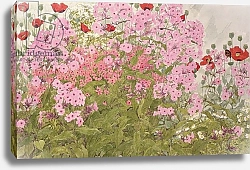 Постер Бентон Линда (совр) Pink Phlox and Poppies with a Butterfly