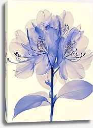 Постер Rhododendron's ghostly elegance