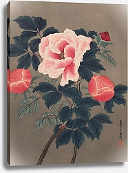 Постер Урушибара Есидзиро Peonies