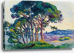 Постер Люс Максимильен Pins Aux Cannebiers