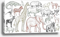 Постер Африканские животные и птицы