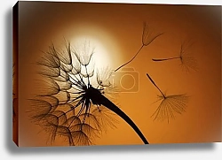 Постер Панорама с одуванчиком на закате