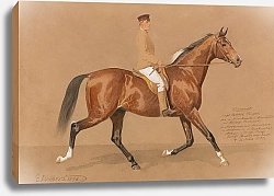 Постер Волкерс Эмиль Шаман