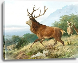 Постер Дейкер Карл Благородный олень в период гона