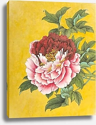 Двуцветный пион на золотом фоне