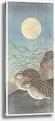Постер Косон Охара Two quail at full moon