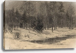 Постер Смирнов Борис Васильевич Taiga at Night.