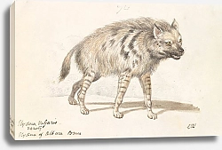 Постер Смит Чарльз Гамильтон The Hyena of Albara