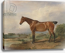 Постер Уорд Артур A Hunter in a Landscape, 1810
