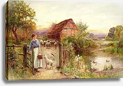 Постер Уолбурн Эрнест Bringing Home the Sheep