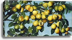 Постер Декер Джозеф Ripening Pears