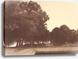 Постер Landscape, Plate 7, Remarque, Poppies