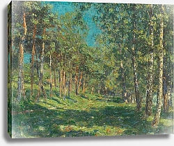 Постер Рольфс Кристиан Лес