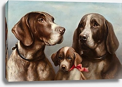 Постер Райхерт Карл Семейство немецких короткошерстных пойнтеров