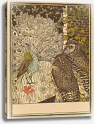 Постер Хойтема Тео Павлин и две совы