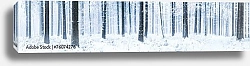 Постер Зимняя лесная панорама