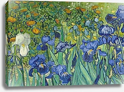 Постер Ван Гог Винсент (Vincent Van Gogh) Irises, 1889