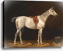Постер Волкерс Эмиль Белая лошадь в конюшне