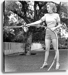 Постер Monroe, Marilyn 94