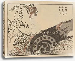 Постер Байрей Коно Байрей гафу, пл.56