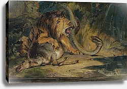 Постер Лэндсир Эдвин Лев, защищающий свою добычу