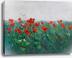 Постер Хагемайстер Карл Roter Mohn am Seeufer