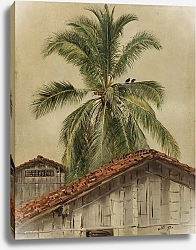 Постер Черч Фредерик Пальмы и крыши домов, Эквадор