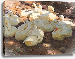 Постер Кестер Александр Лежачие утки - свет и тень