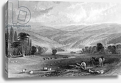 Постер Школа: Английская 19в. Gibside, County of Durham, engraved by T. Prior after T. Allon, 1835