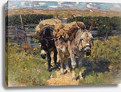 Постер Зюгеь Генрих Два осла