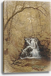 Постер Миллер Уильям Рикарби Indian Falls, Indian Brook, Cold Springs, New York