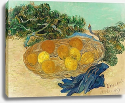 Постер Ван Гог Винсент (Vincent Van Gogh) Натюрморт с апельсинами, лимонами и синими перчатками