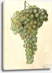 Постер Пассмор Дебора Название: Малага