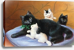 Постер Сперлих Софи Семейство кошачьих