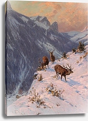 Постер Тиле Артур Благородный олень зимой