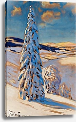 Постер Фалат Джулиан Winter landscape