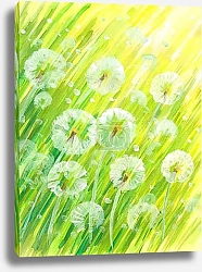 Постер Трава с одуванчиками