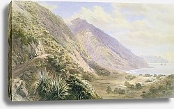 Постер Галли Джон Паекакарики